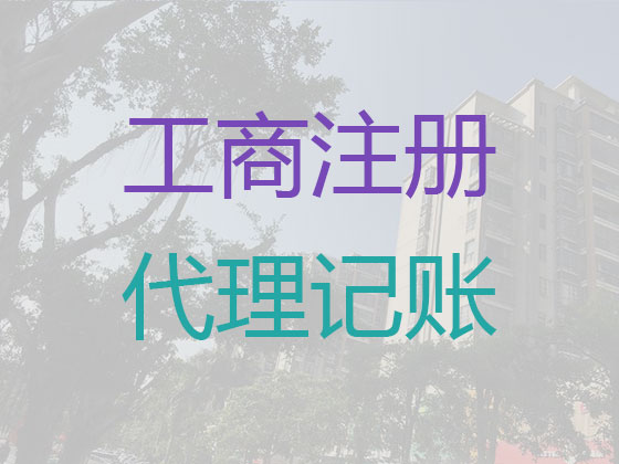 廣州財務代理記賬|代理科技公司記賬,代辦一般納稅人申請