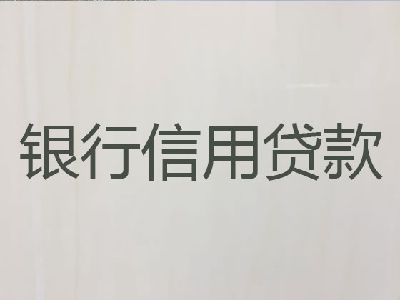 保定抵押貸款-信用貸款